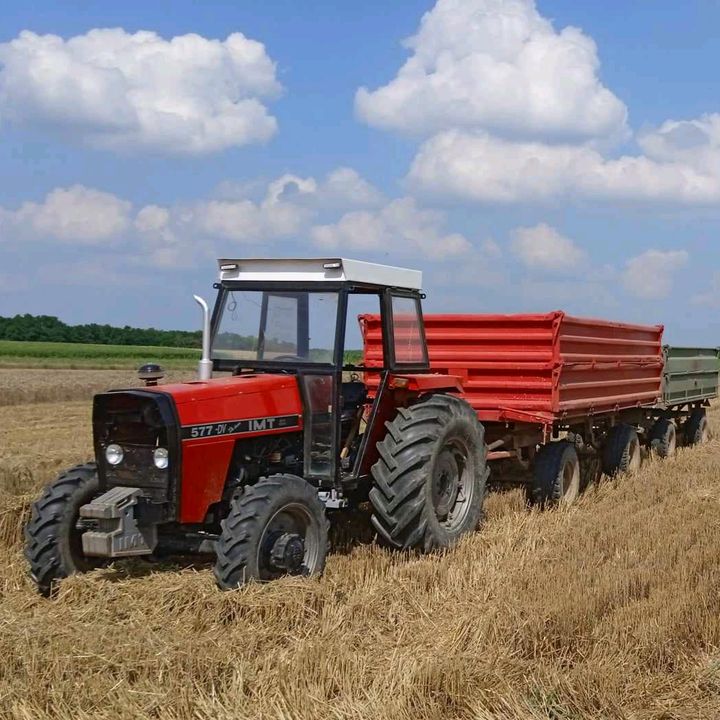 balkanac_maki