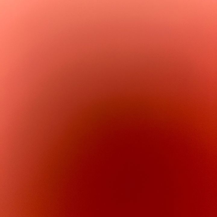 maxthebrowncat