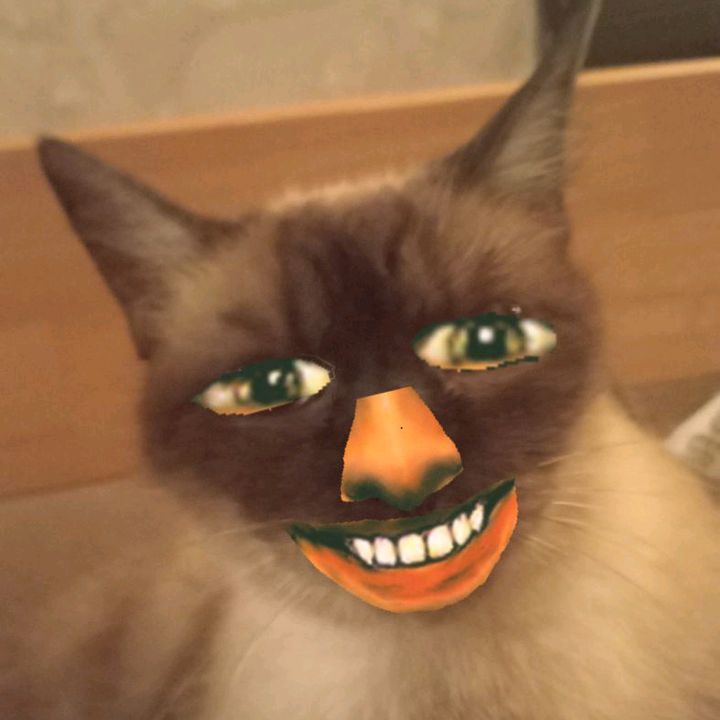 bgt_sosiska