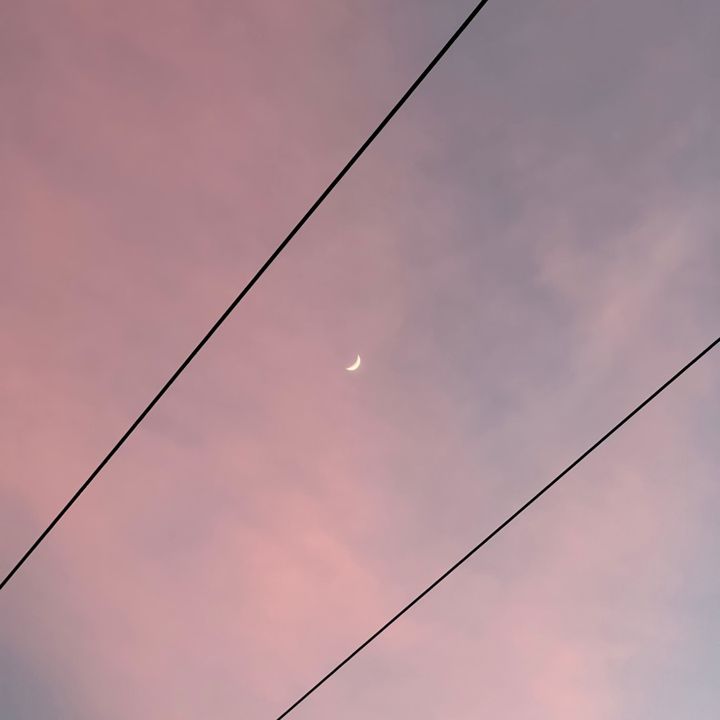 adiletwe