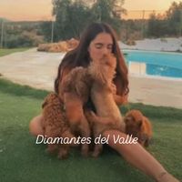 diamantesdelvalle