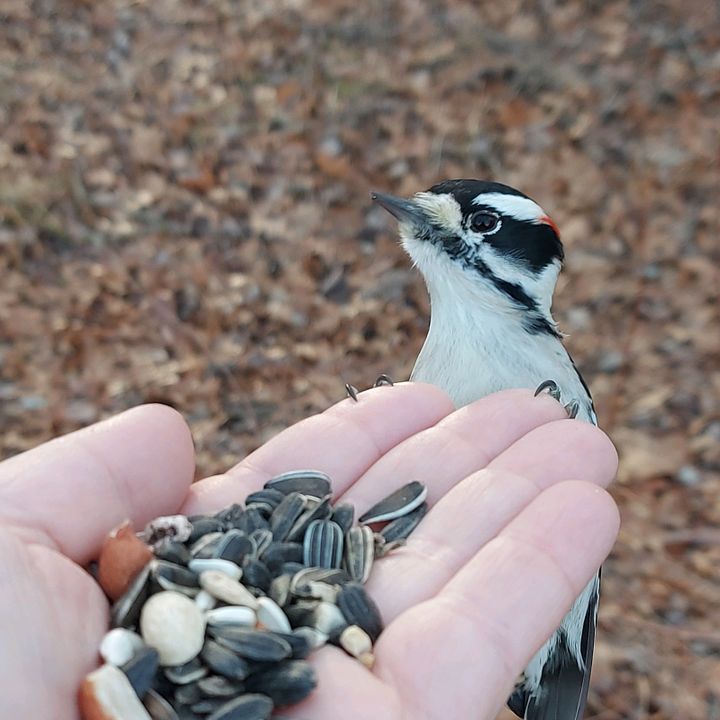hikingandgratitude
