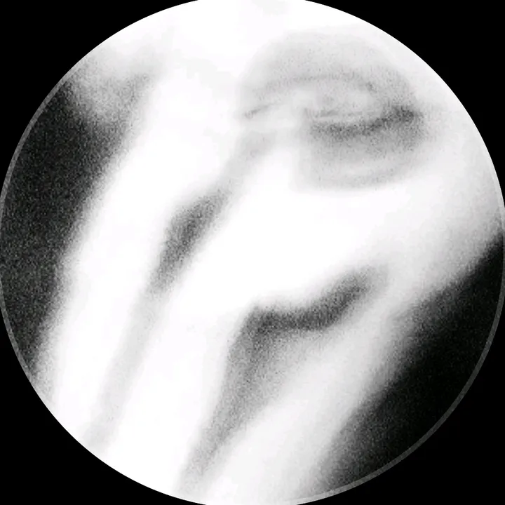 sofiya.mey