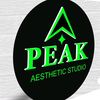 peak_aesthetic_studio
