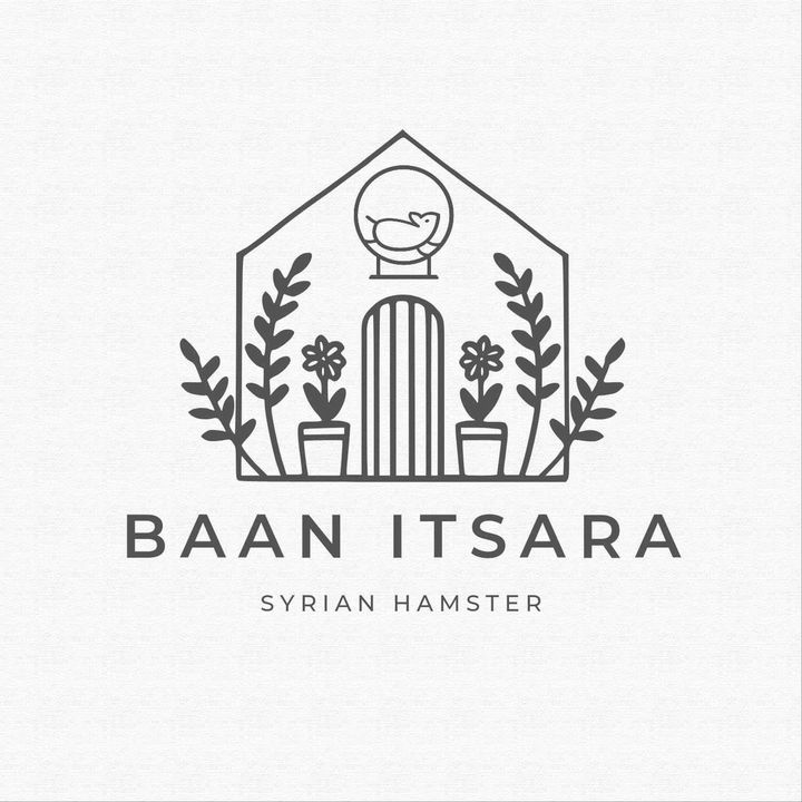 syrianhamster_itsara