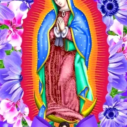 chamaquitatoktok.com