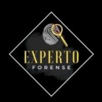 experto.forense