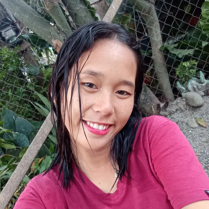 pikot0420