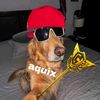 aquixfnr_