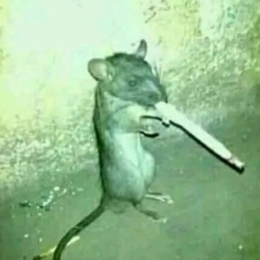__cigarro_