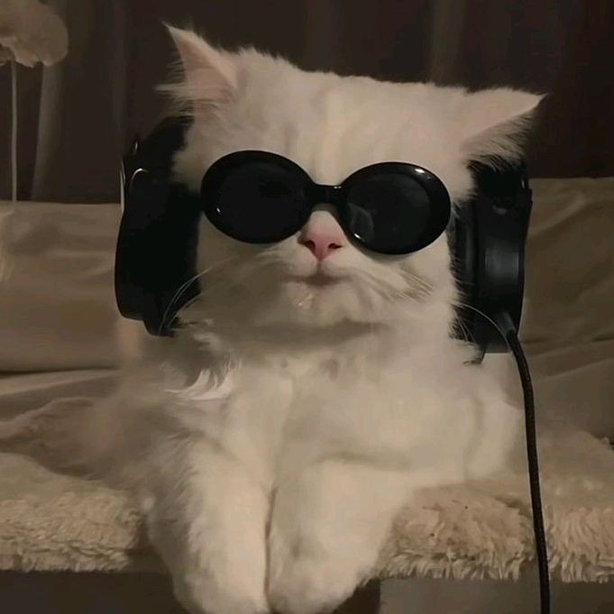 cool_s0ngs_