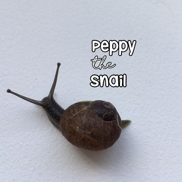 snail_peppy