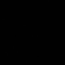 _nikolciaee7