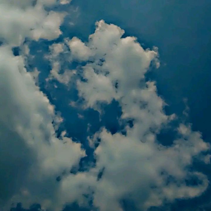 jessicasaltos63