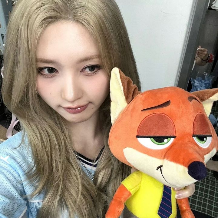 candygaeeul