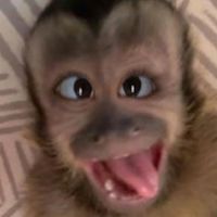 personadesconocida081