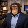 nachosnews_