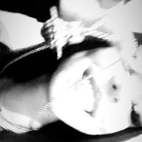 lebigwww