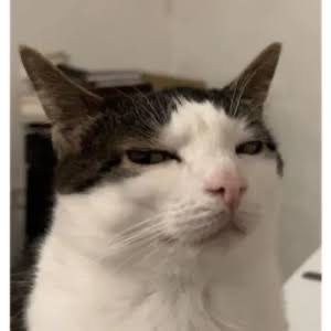 catsaredemonic