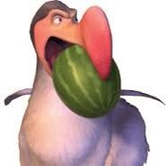 @dadidudedodobird