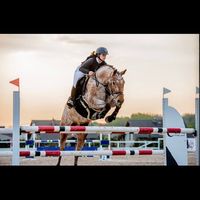mucia_sport.horse