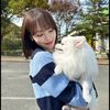 ..kpopmultiess