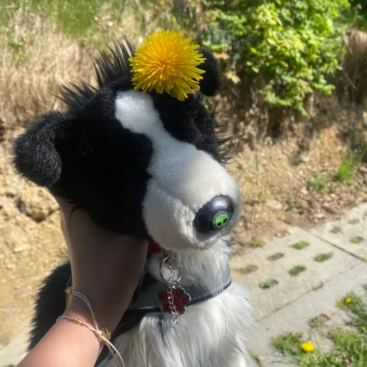 fluffy_tails_essacom