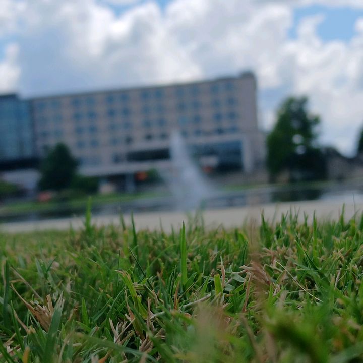 _la_osita_502