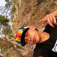 oscarito.pine