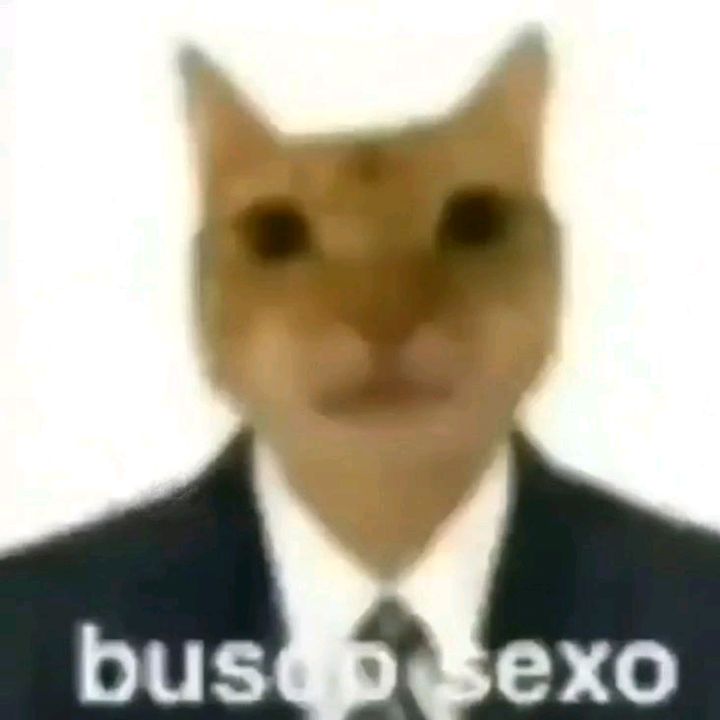 wazabico
