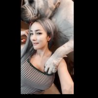 boerboelthailand