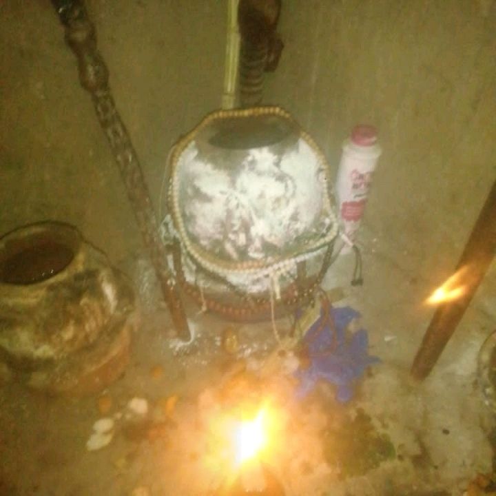 ogunniyi.osa