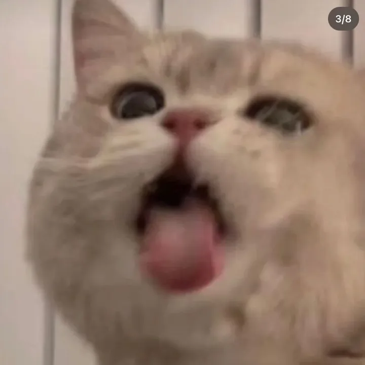 itmauy