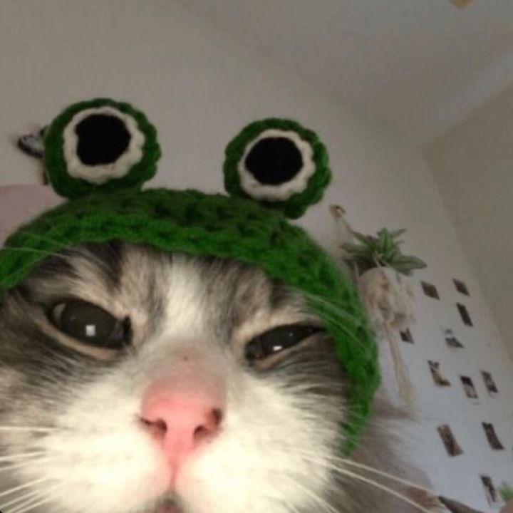 gnarlynabs_