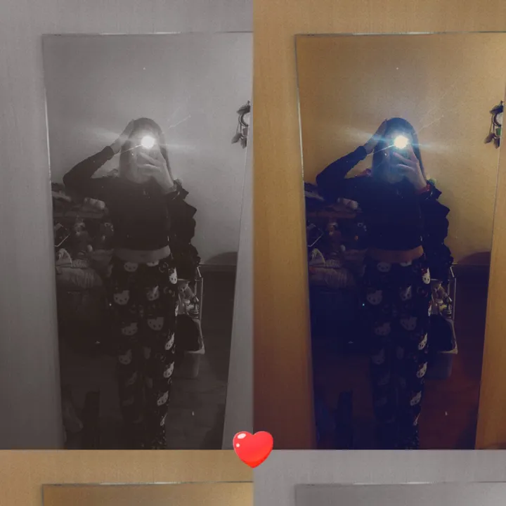 stellaenzo241