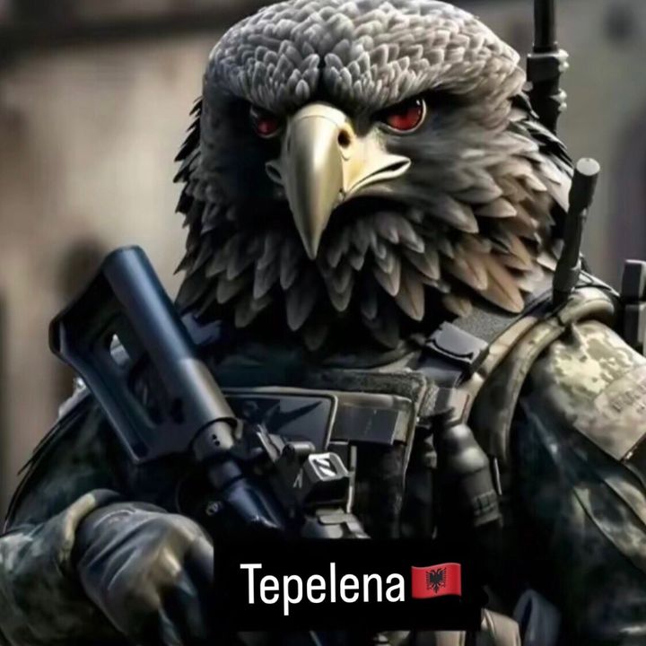 tepelena77777