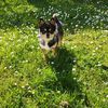 popy_081