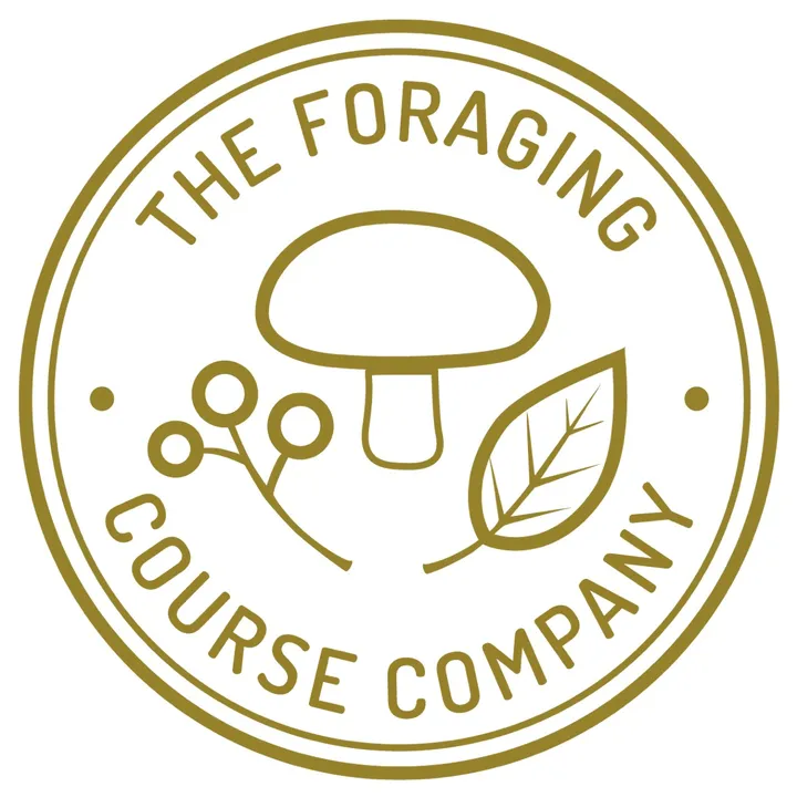 the.foraging.course.co