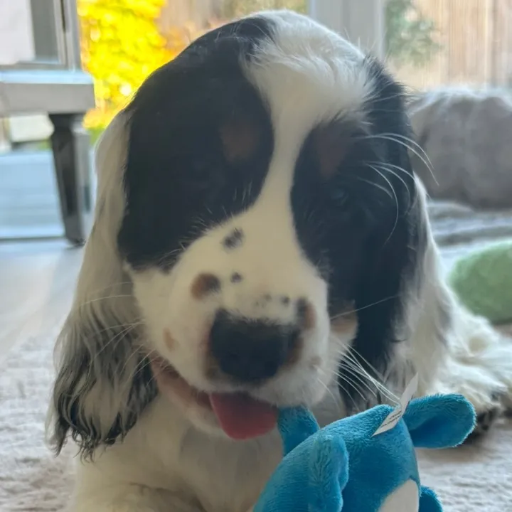 teddyturner_1