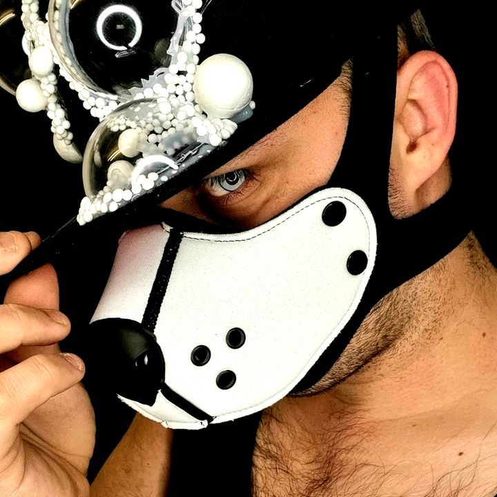 @pup_koba