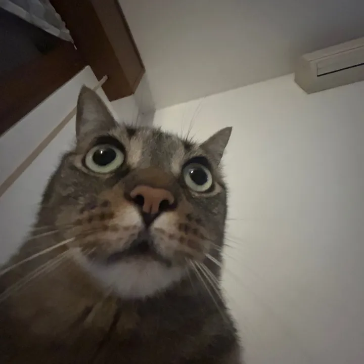 andrew.spam_