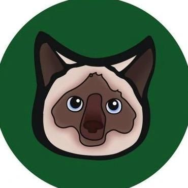 turbbo_cat543