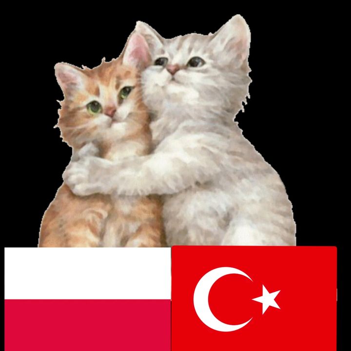turkpolbesties