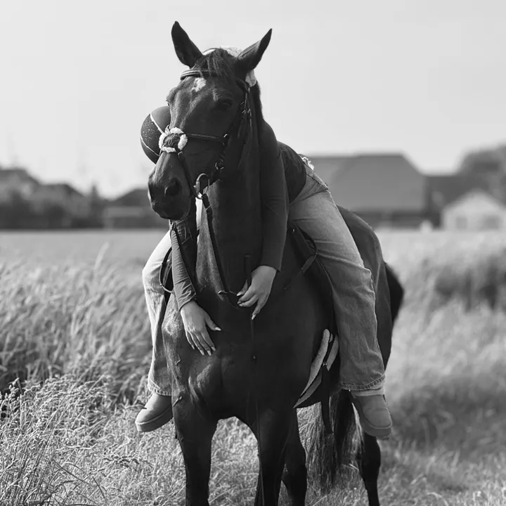 equestrianteam.ff