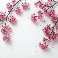 @4k.journey