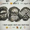 muisiq3