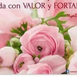jennyvargas895
