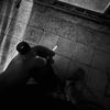 _z.privv__
