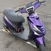 zip_mauve.33k