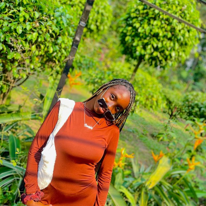 straussy.nkari
